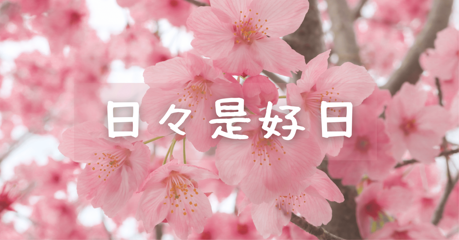 名古屋人くにの日日是好日